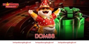 dom88