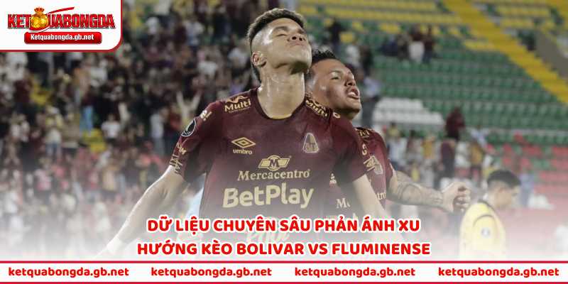 Dữ liệu chuyên sâu phản ánh xu hướng kèo Bolivar vs Fluminense