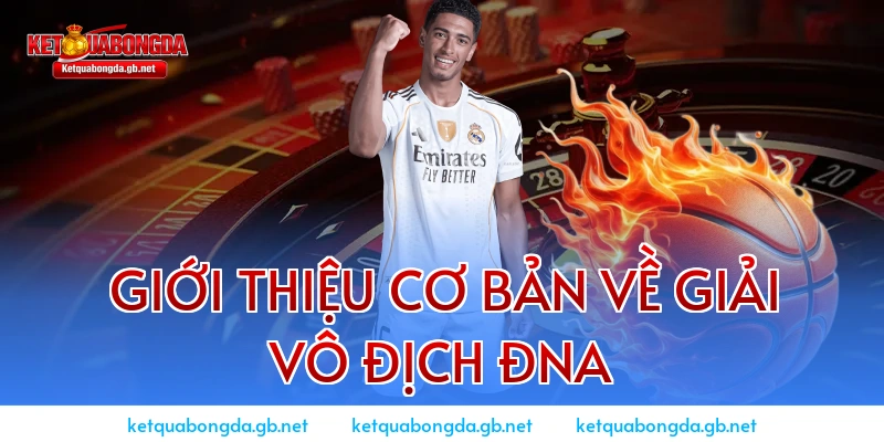 Giới thiệu cơ bản về giải Vô địch ĐNA
