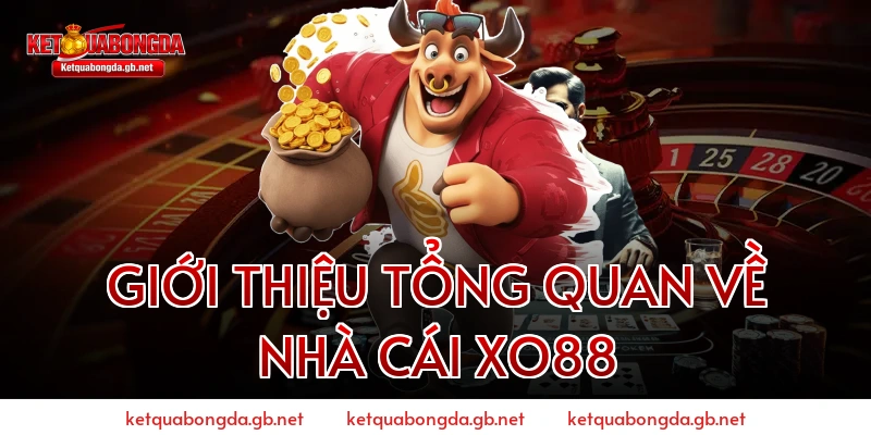 GIỚI THIỆU TỔNG QUAN VỀ NHÀ CÁI XO88