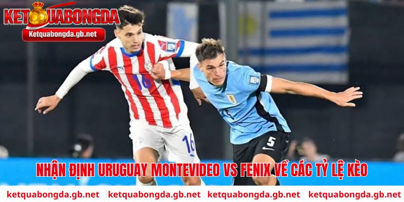 Nhận định Uruguay Montevideo vs Fenix về tỷ lệ kèo